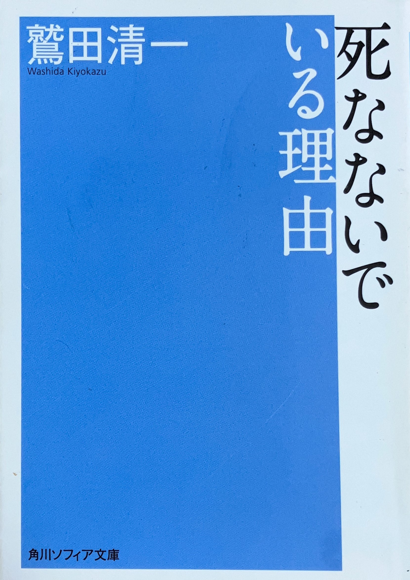 死なないでいる理由